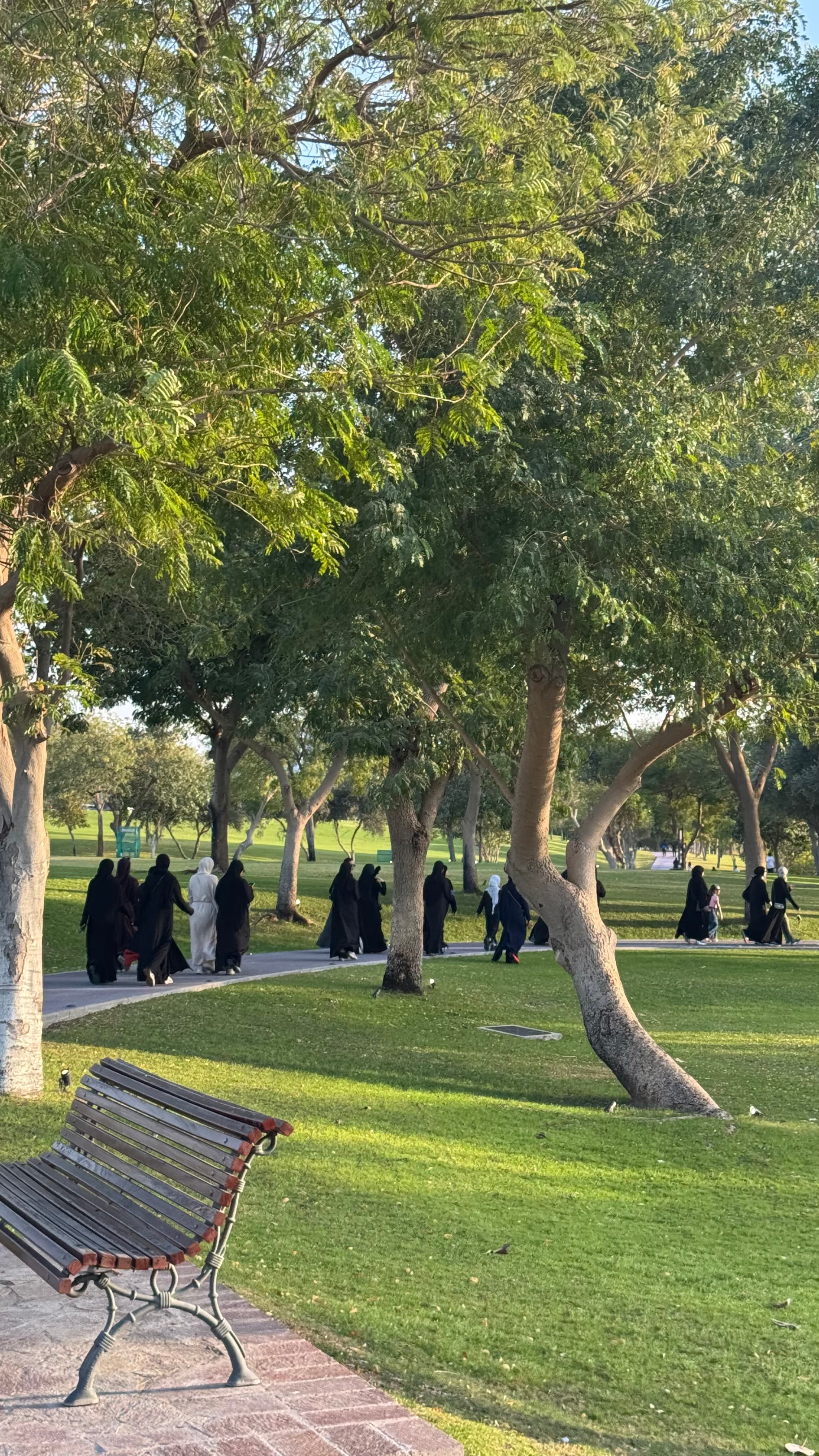 Abaya Walk community